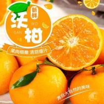 云南沃柑 果園剛成熟 當季新鮮 不過冷藏和保鮮